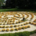 2013 August Labyrinth St.Albert