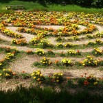 2016 Labyrinthansicht