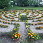 2017 Labyrinthbepfanzung