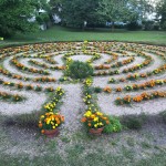 2017 Labyrinthbepfanzung