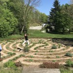 2019 Labyrinth im April