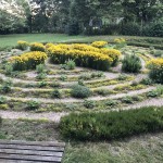 2019 Labyrinth im Juli