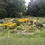 2020 Labyrinth im Juli