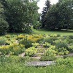 2020 Labyrinth im Juli